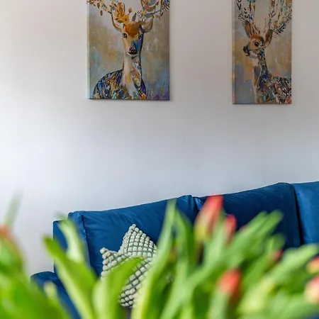 Lisowski Centrum Apartman