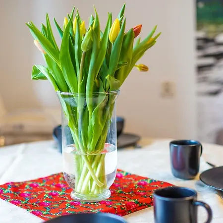 Apartman Lisowski Centrum